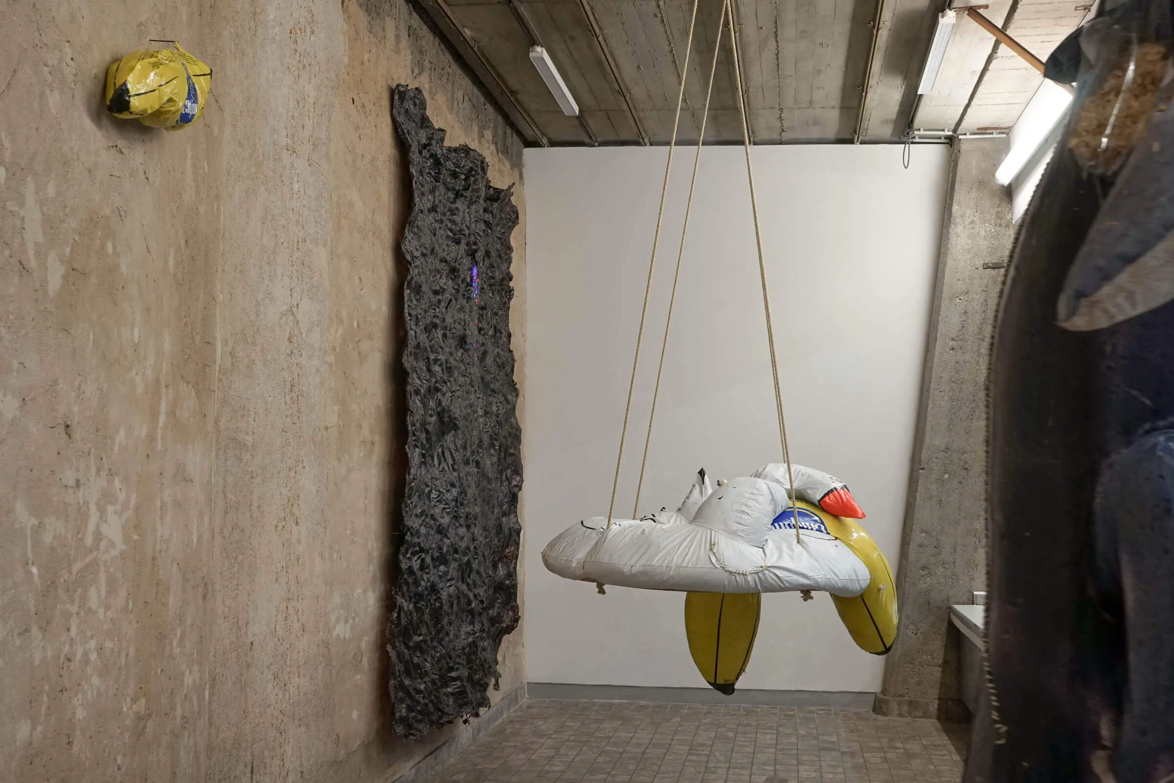 Full view of art installation with layered materials and growth